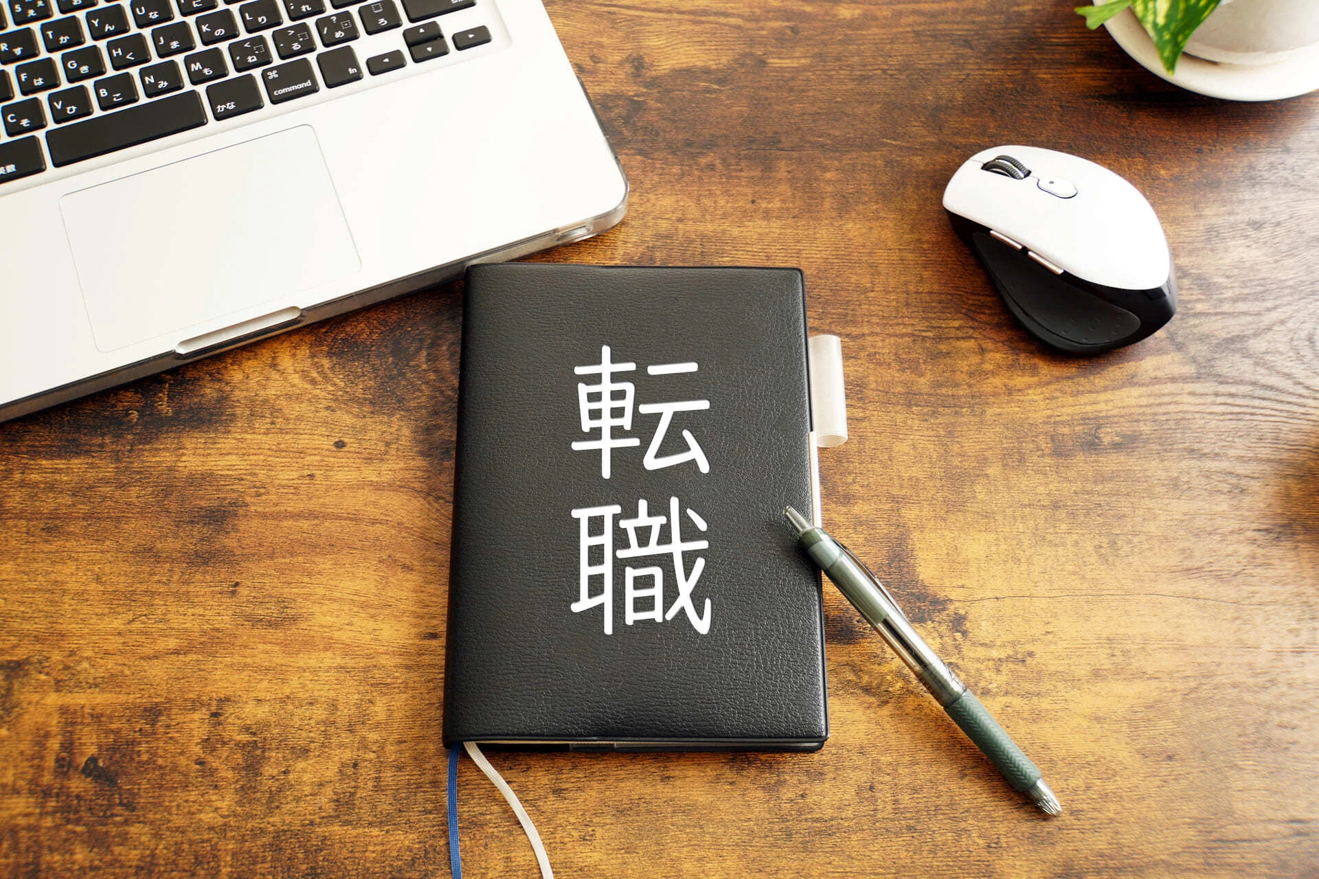 AdobeStock_268449878 (1)